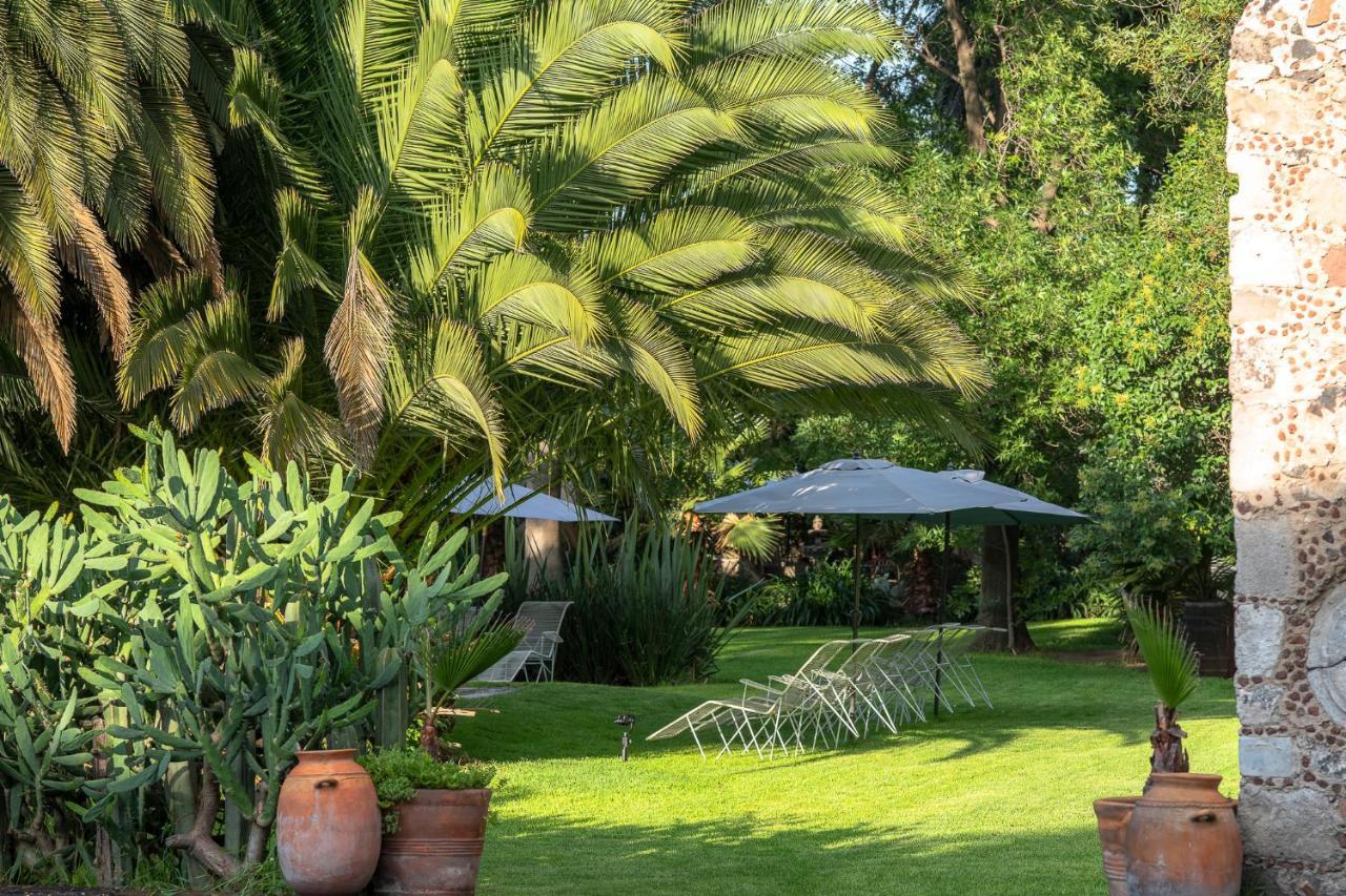 Posada Colibri - Hotel & Spa San Juan Teotihuacan Ngoại thất bức ảnh