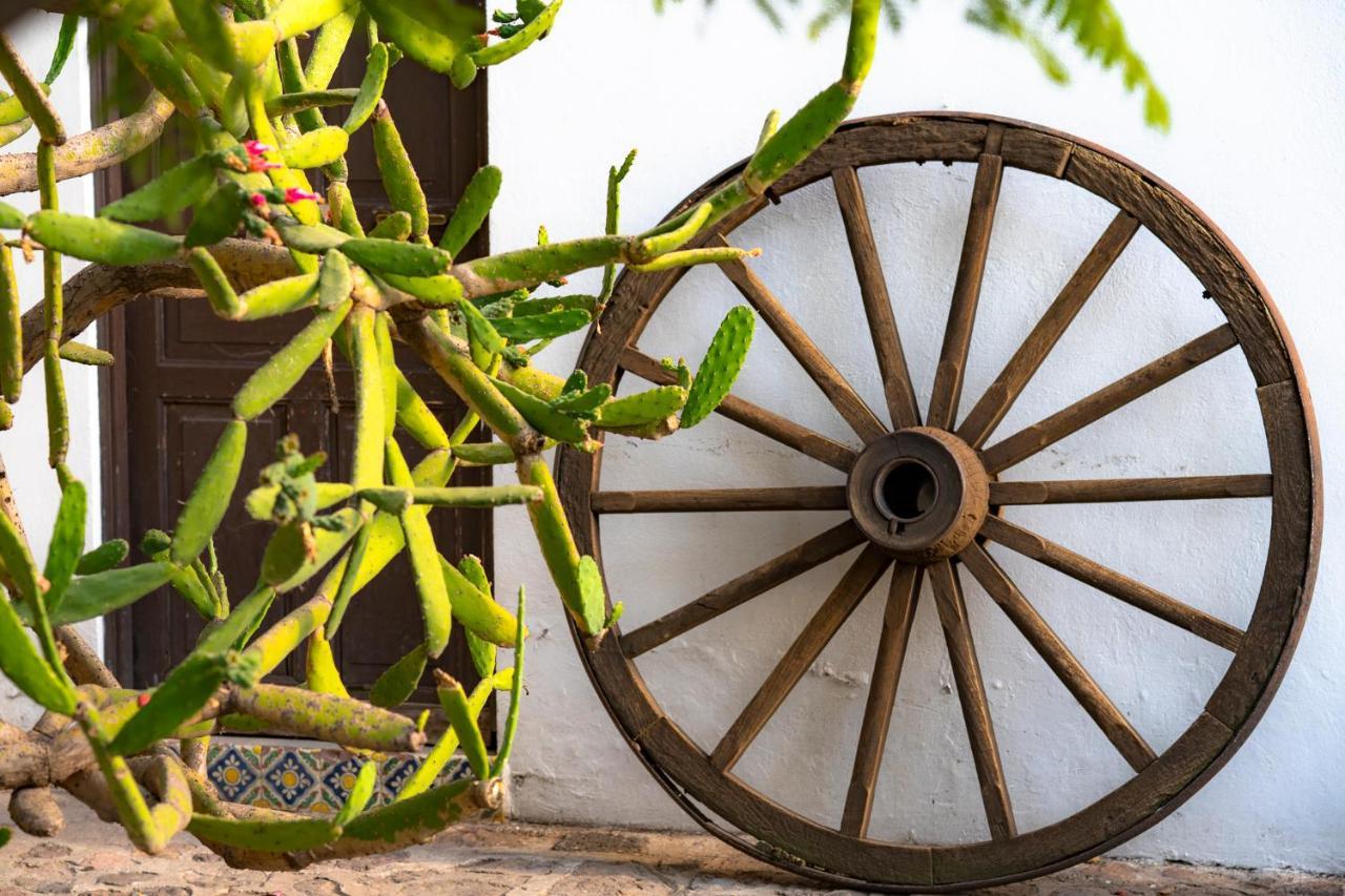 Posada Colibri - Hotel & Spa San Juan Teotihuacan Ngoại thất bức ảnh