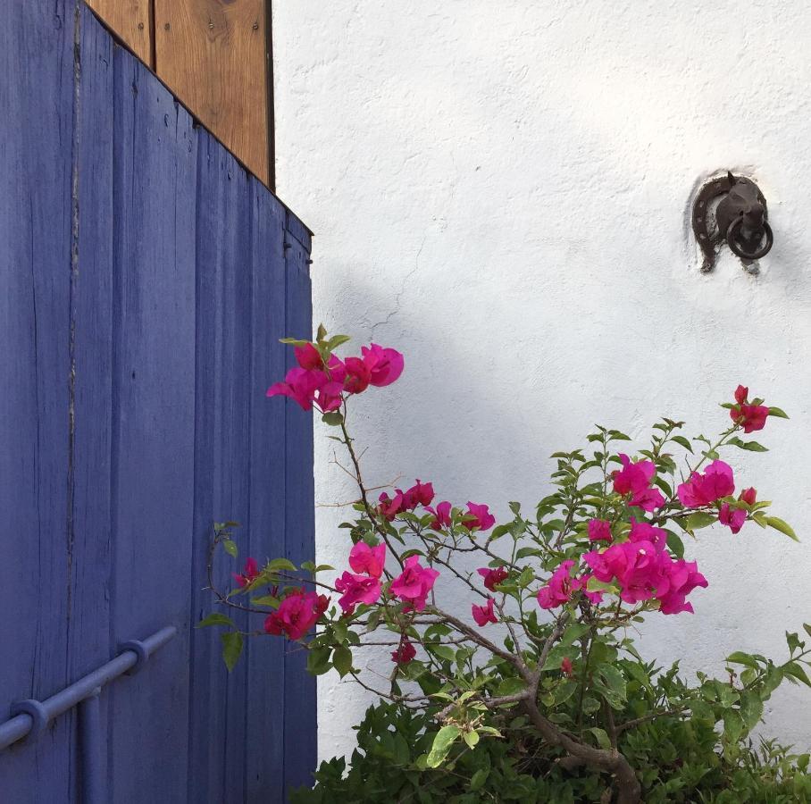 Posada Colibri - Hotel & Spa San Juan Teotihuacan Ngoại thất bức ảnh