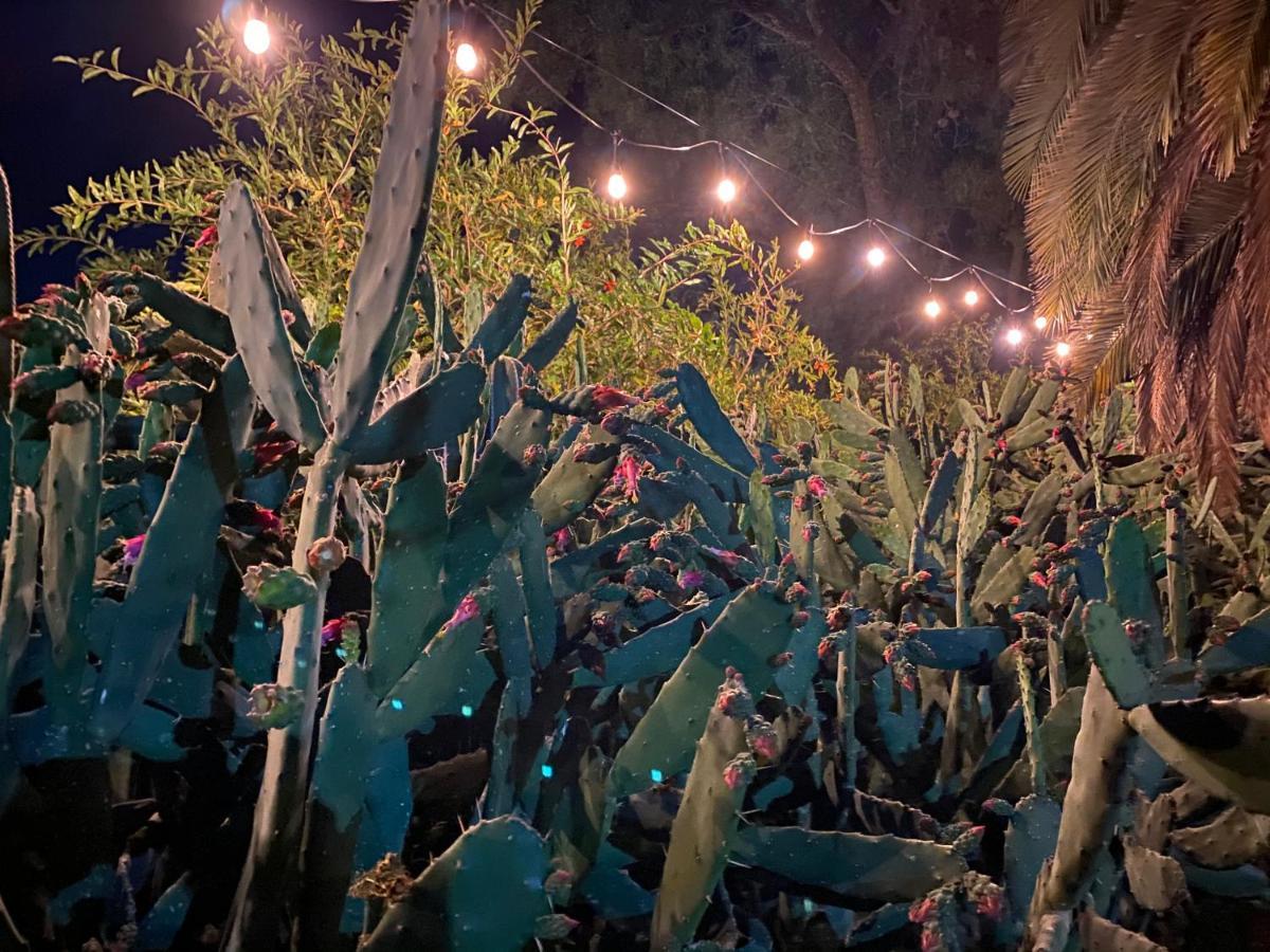 Posada Colibri - Hotel & Spa San Juan Teotihuacan Ngoại thất bức ảnh